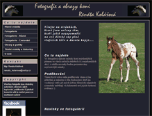 Tablet Screenshot of horsephotos.cz